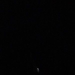 Meet your Posher, Oscar